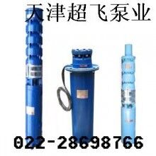 天津潛水電機，天津潛水泵