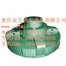 T、TL系列電機(jī)