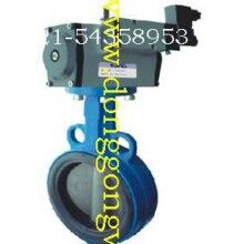 5046氣動(dòng)驅(qū)動(dòng)蝶閥，ROFES